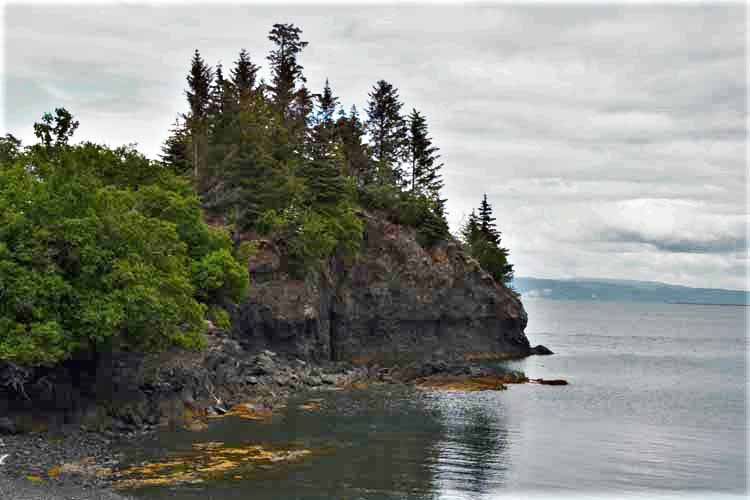 homes at halibut cove